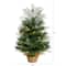 2ft. Pre-Lit Artificial Christmas Tree in Burlap Base, Warm White LED Lights
